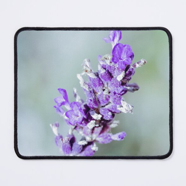 Item preview, Cool Vintage Lavender designed and sold by Tanya C  Smith.