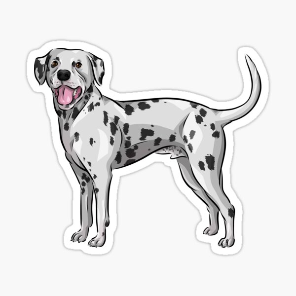 "Cute Dalmatian Dog" Sticker by shirinsart Redbubble