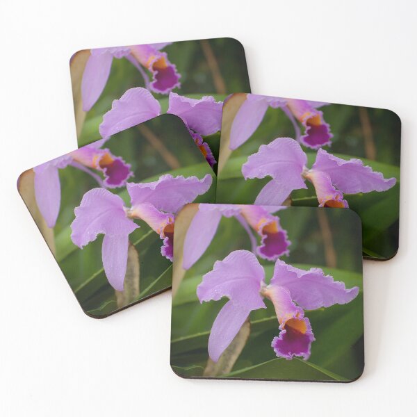 Item preview, Purple Cattleya Orchid designed and sold by Michael Cummings.