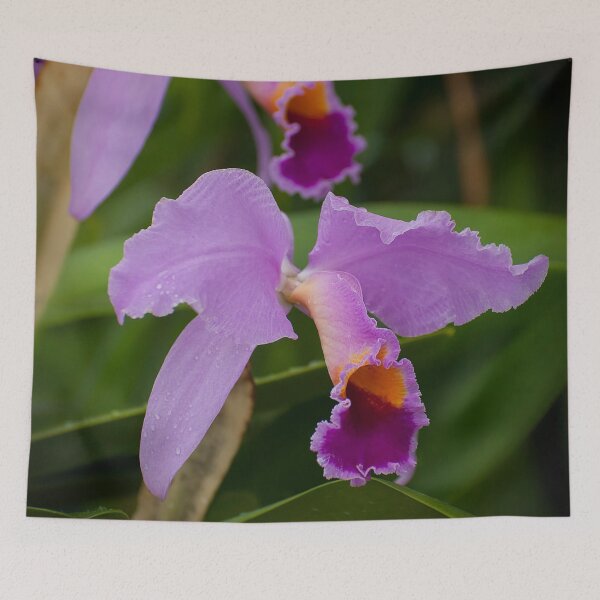 Item preview, Purple Cattleya Orchid designed and sold by Michael Cummings.