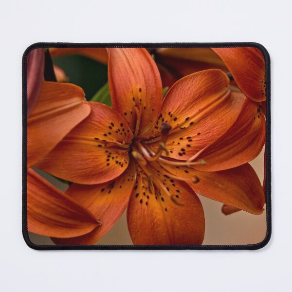 Item preview, Orange Lily designed and sold by Michael Cummings.