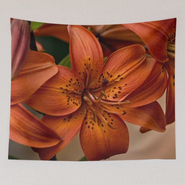 Item preview, Orange Lily designed and sold by Michael Cummings.