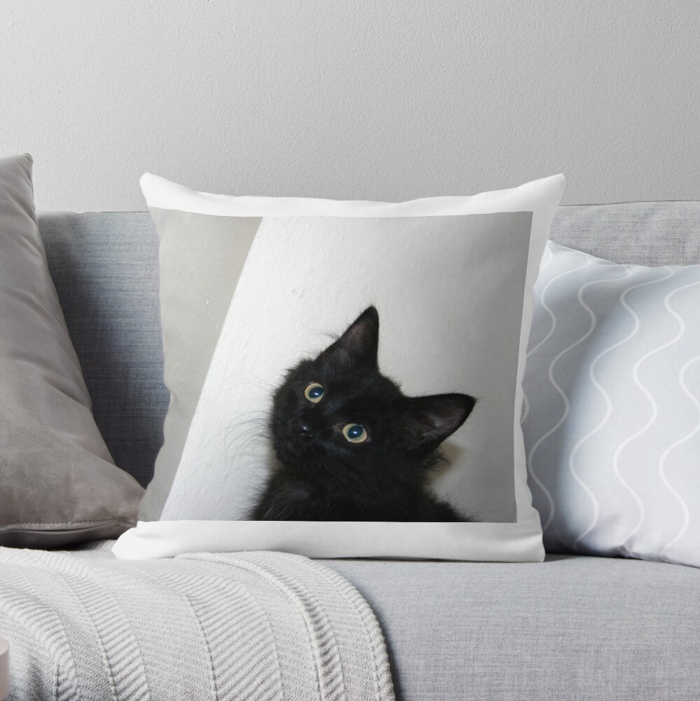 In the Corner Throw Pillow