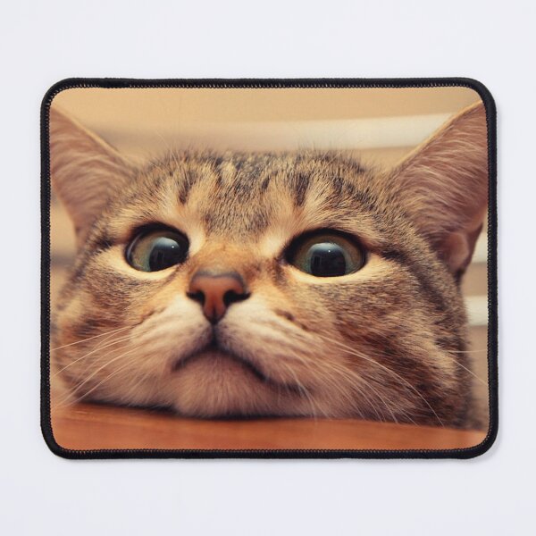 Item preview, Sweet cat designed and sold by Billlogan.