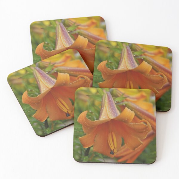 Item preview, African Queen Trumpet Lily designed and sold by Michael Cummings.