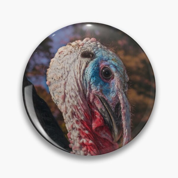 Item preview, Turkey Tom designed and sold by R-York.