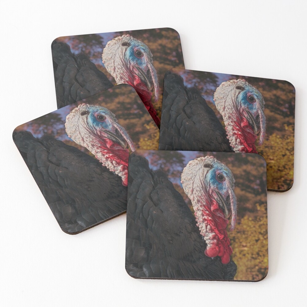 Item preview, Coasters (Set of 4) designed and sold by R-York.