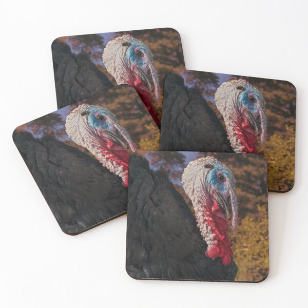 Item preview, Turkey Tom designed and sold by R-York.