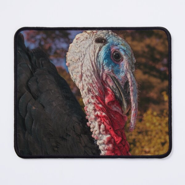 Item preview, Turkey Tom designed and sold by R-York.