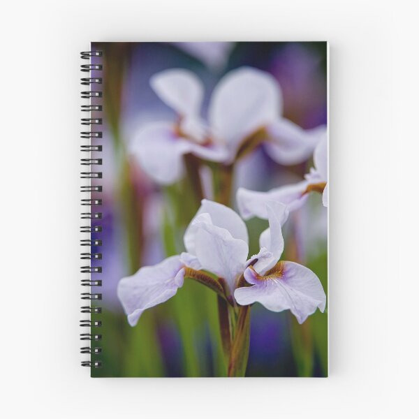 Item preview, White and Purple Irises designed and sold by Michael Cummings.