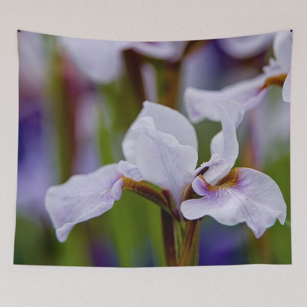 Item preview, White and Purple Irises designed and sold by Michael Cummings.
