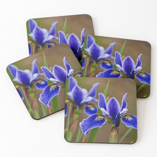 Item preview, Blue Irises designed and sold by Michael Cummings.
