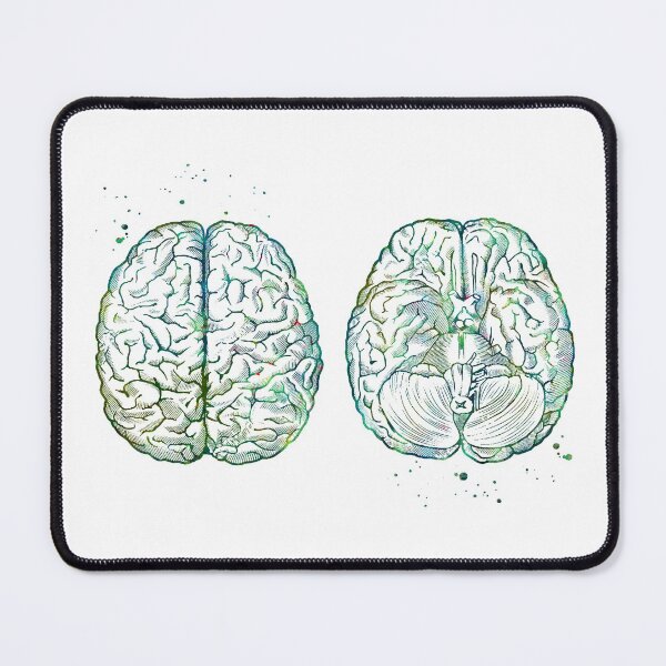 Item preview, Brain Anatomy Upside and Downside View designed and sold by EvasDreams.