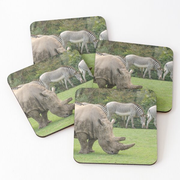 Item preview, Rhino and zebra designed and sold by photosbygemmad.