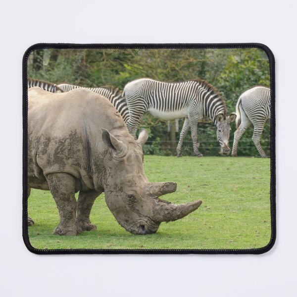 Item preview, Rhino and zebra designed and sold by photosbygemmad.