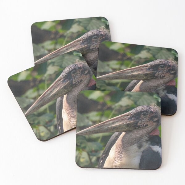 Item preview, Marabou stork bird designed and sold by photosbygemmad.