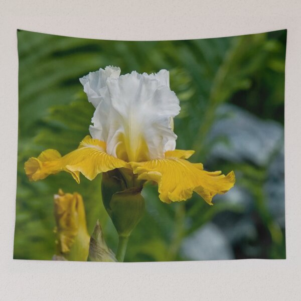 Item preview, Iris designed and sold by Michael Cummings.