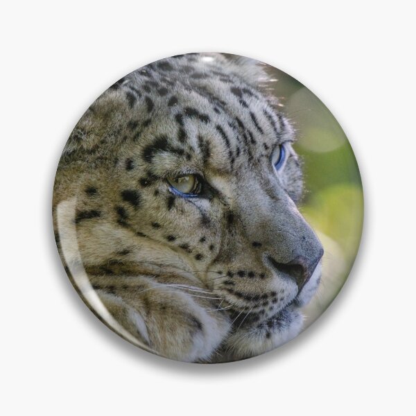 Item preview, Snow leopard snoozing designed and sold by photosbygemmad.