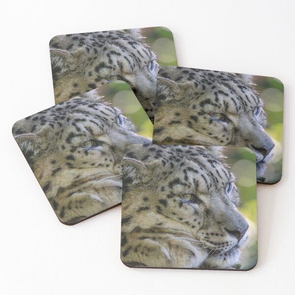Item preview, Snow leopard snoozing designed and sold by photosbygemmad.