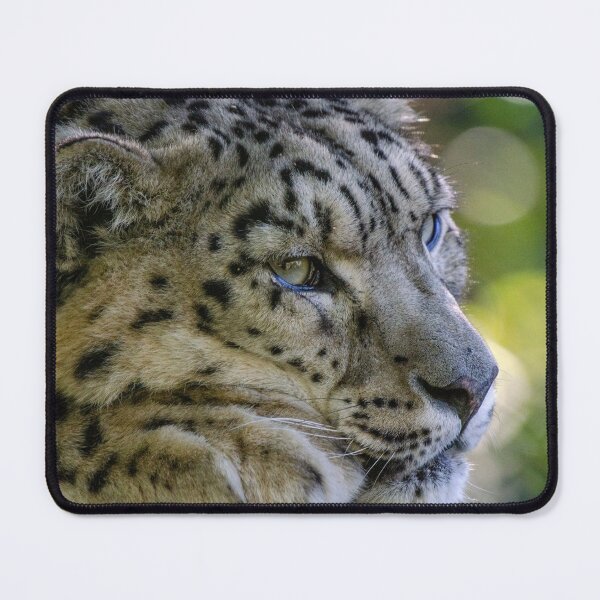Item preview, Snow leopard snoozing designed and sold by photosbygemmad.