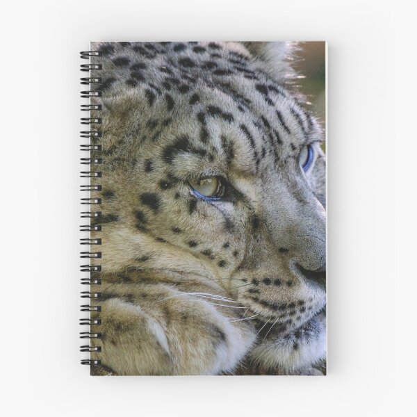 Item preview, Snow leopard snoozing designed and sold by photosbygemmad.