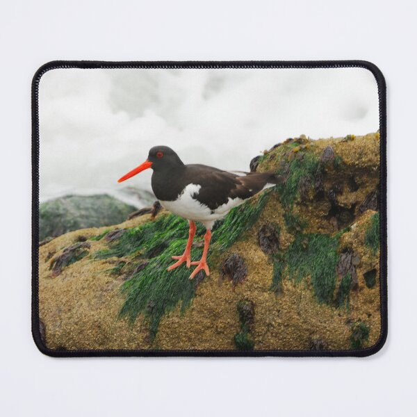 Item preview, WHERE TO NOW designed and sold by andrewsaxton.