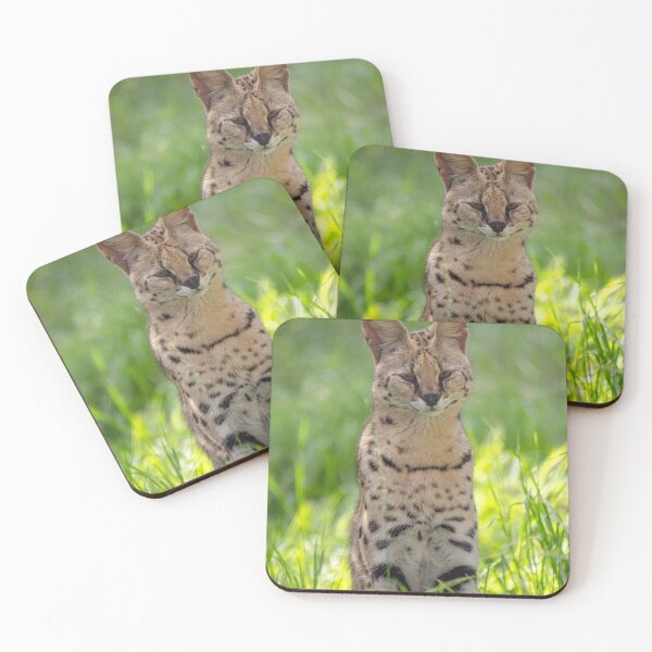 Item preview, Posing serval designed and sold by photosbygemmad.