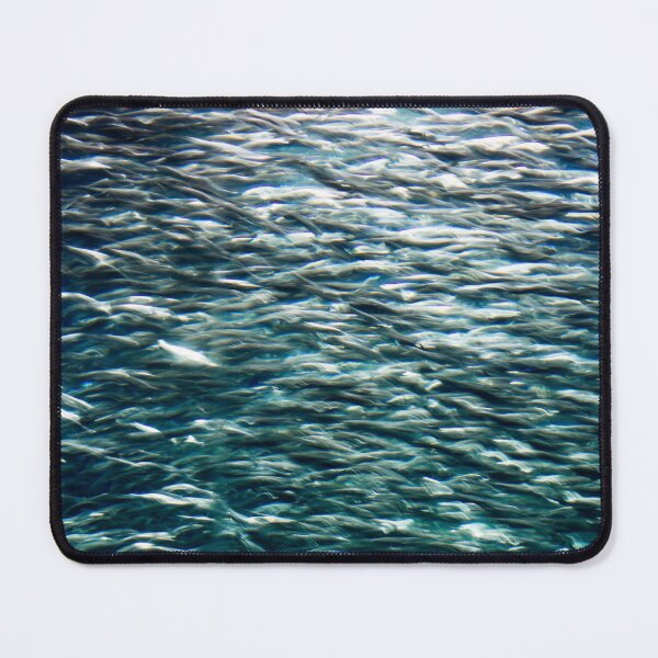 Item preview, School of Fish designed and sold by LisaDCreates.