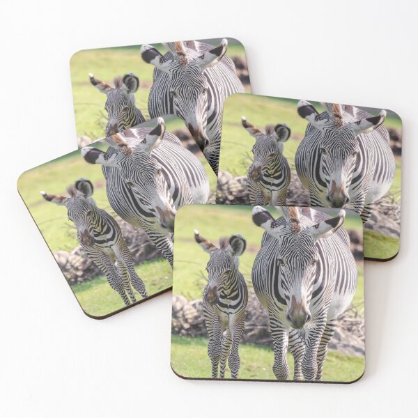 Item preview, Grevys zebra and foal designed and sold by photosbygemmad.