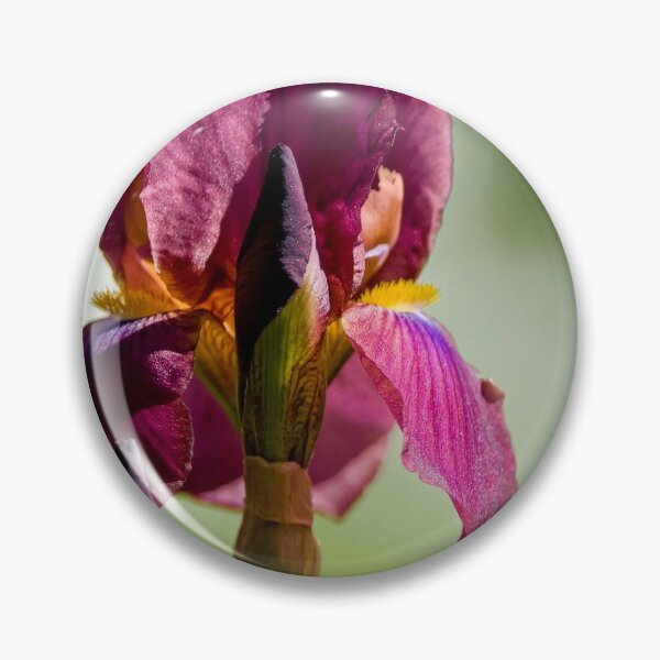 Item preview, Purple Iris designed and sold by Michael Cummings.