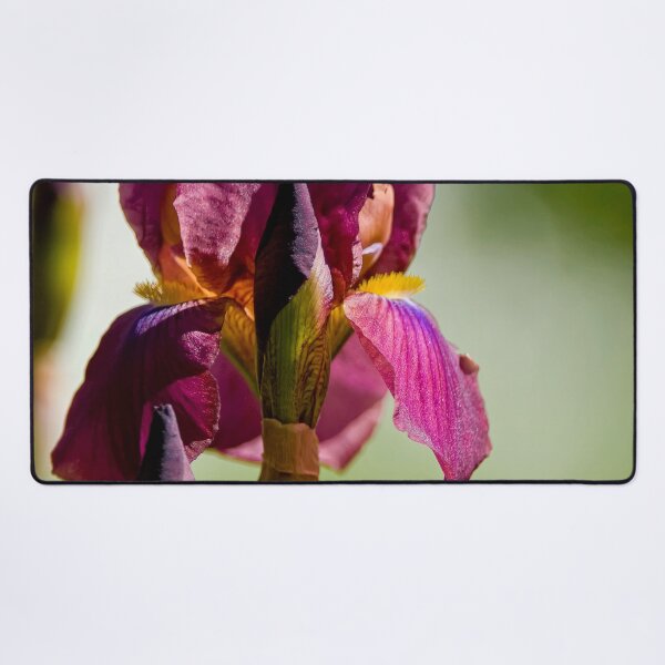 Item preview, Purple Iris designed and sold by Michael Cummings.