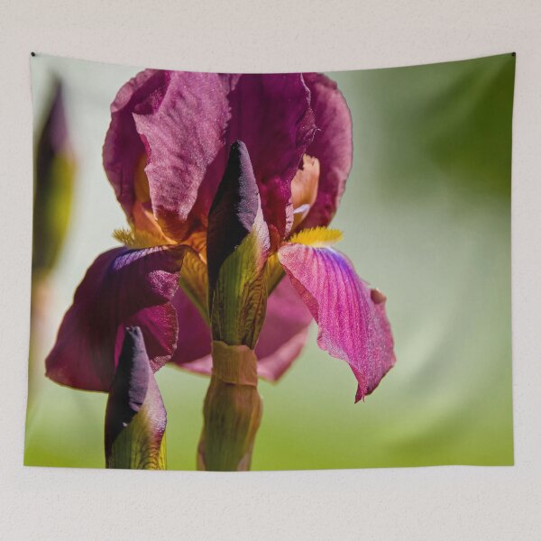 Item preview, Purple Iris designed and sold by Michael Cummings.