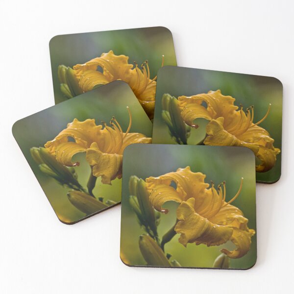 Item preview, Klondyke Stryke Daylily designed and sold by Michael Cummings.