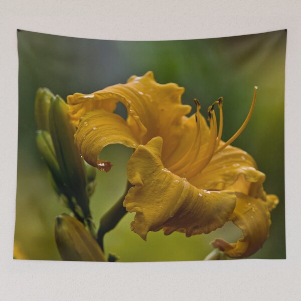 Item preview, Klondyke Stryke Daylily designed and sold by Michael Cummings.