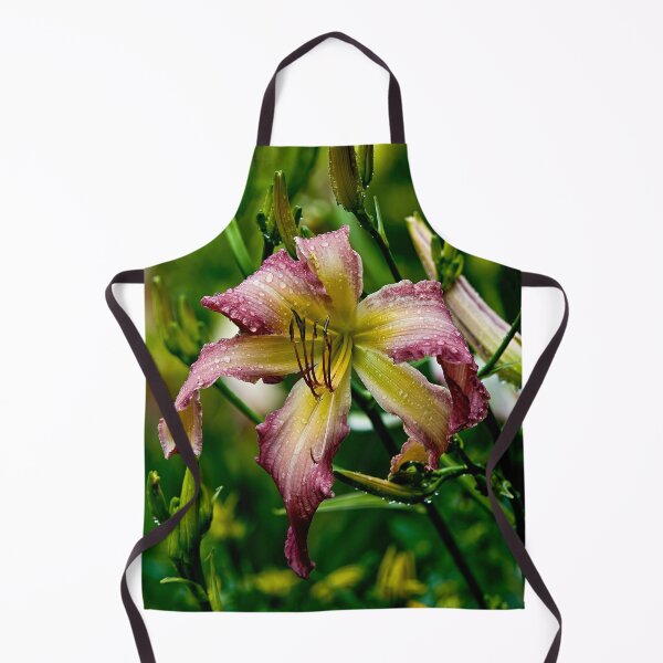 Item preview, Northwind Dancer Daylily designed and sold by Michael Cummings.