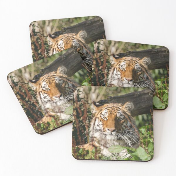 Item preview, Valentina tiger posing in leaves and grass designed and sold by photosbygemmad.