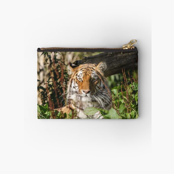 Item preview, Valentina tiger posing in leaves and grass designed and sold by photosbygemmad.