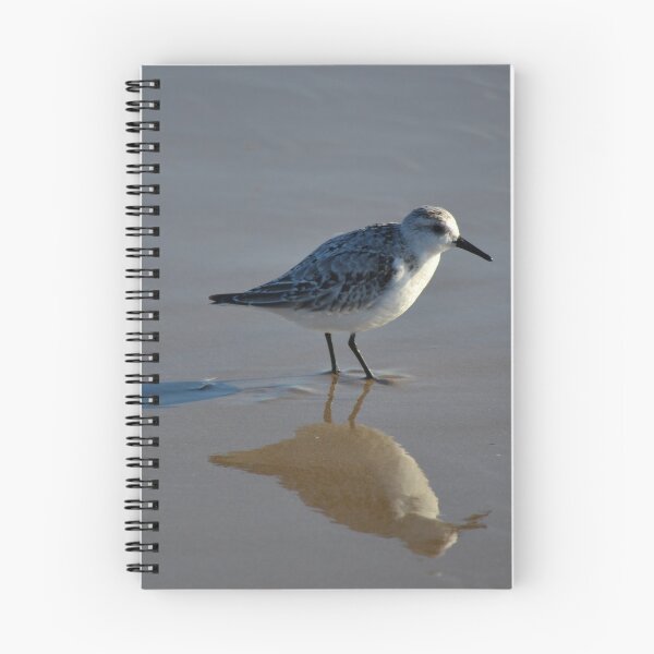 Item preview, Sanderling dressed for winter designed and sold by NorthernSnappy.