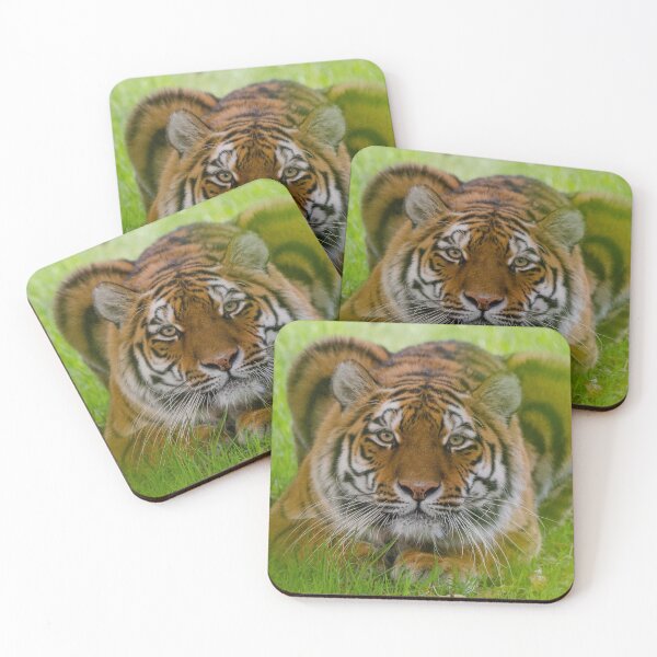 Item preview, Ready to pounce tiger designed and sold by photosbygemmad.