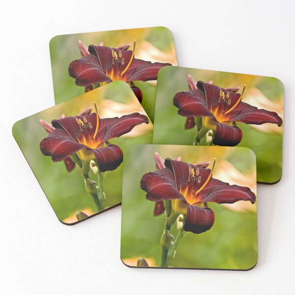 Item preview, Rootbeer Daylily designed and sold by Michael Cummings.