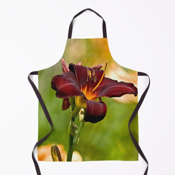 Item preview, Rootbeer Daylily designed and sold by Michael Cummings.
