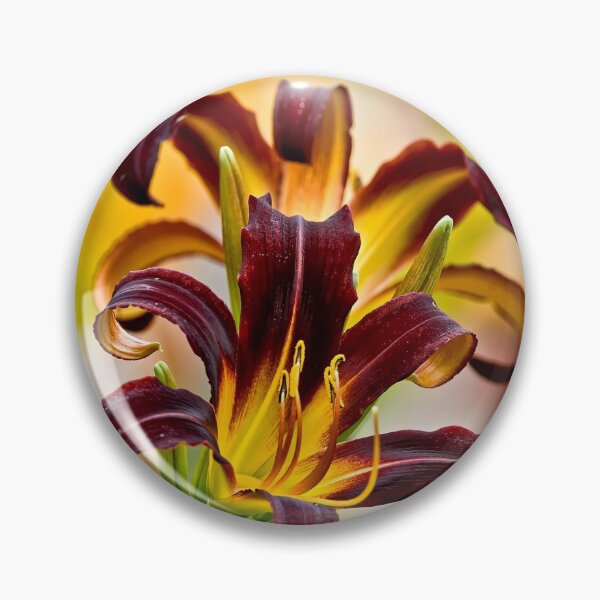 Item preview, Black Plush Daylily designed and sold by Michael Cummings.