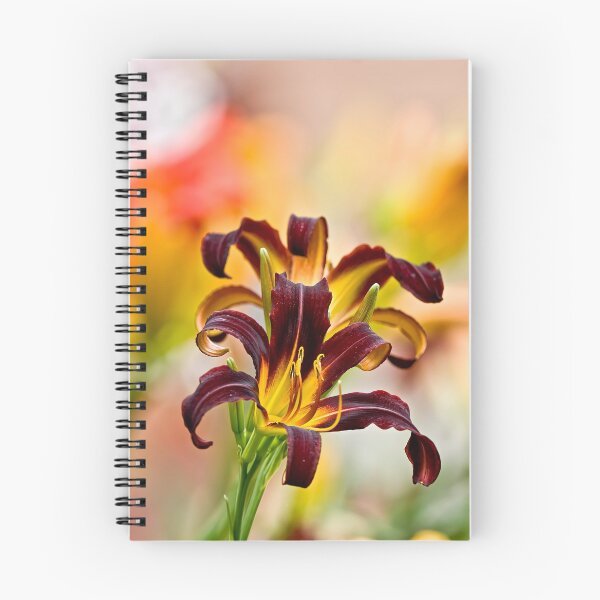 Item preview, Black Plush Daylily designed and sold by Michael Cummings.