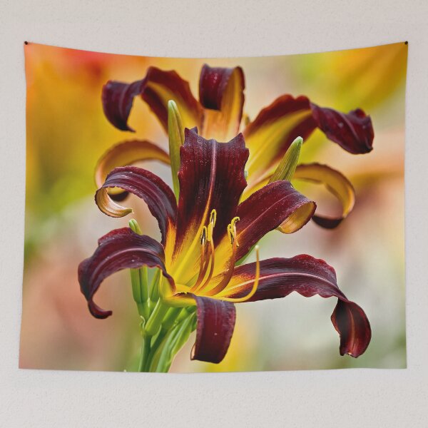 Item preview, Black Plush Daylily designed and sold by Michael Cummings.