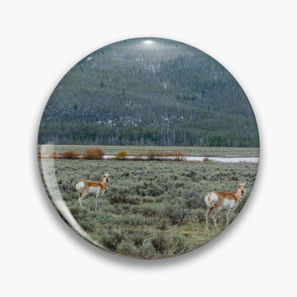Item preview, I Was Lookin' Back to See designed and sold by Bryan Spellman.