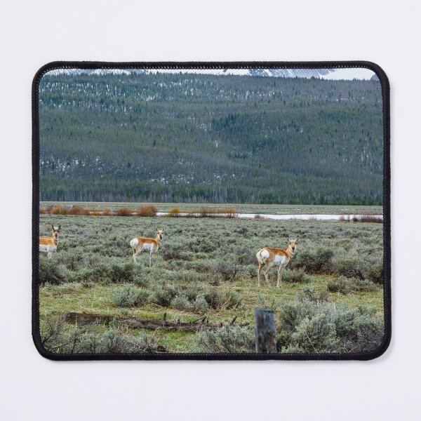 Item preview, I Was Lookin' Back to See designed and sold by Bryan Spellman.