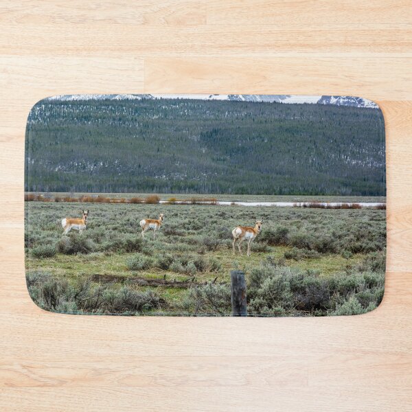 Item preview, I Was Lookin' Back to See designed and sold by Bryan Spellman.