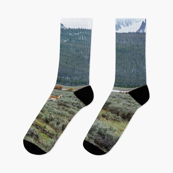 Item preview, I Was Lookin' Back to See designed and sold by Bryan Spellman.
