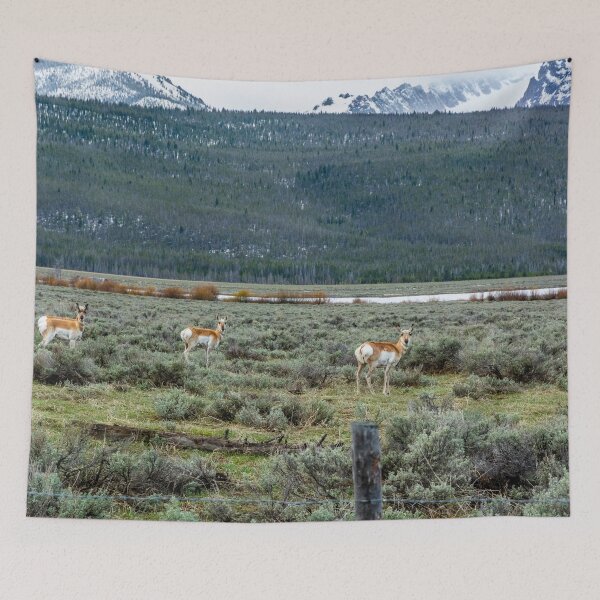 Item preview, I Was Lookin' Back to See designed and sold by Bryan Spellman.