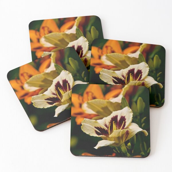 Item preview, Custard Candy Daylily designed and sold by Michael Cummings.